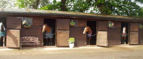 Florence Farm Stables